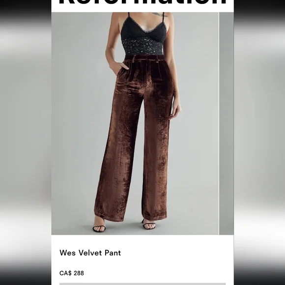 Reformation Wes Velvet Wide Leg Pants In Chestnut - Picture 15 of 16